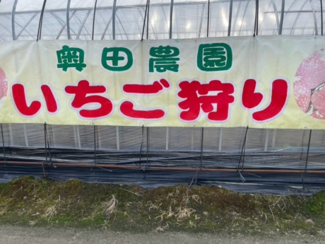 ~久しぶりのいちご狩り~ | お知らせ